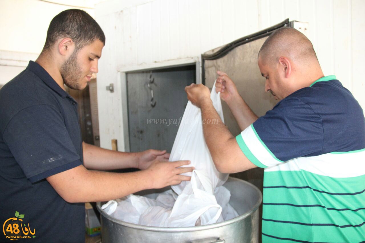 torody second marl7ala (13).jpg